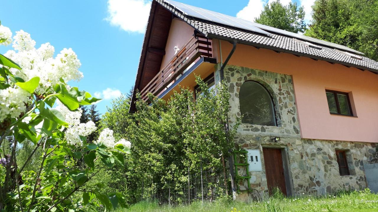 Country House & Spa Mislinja Zewnętrze zdjęcie