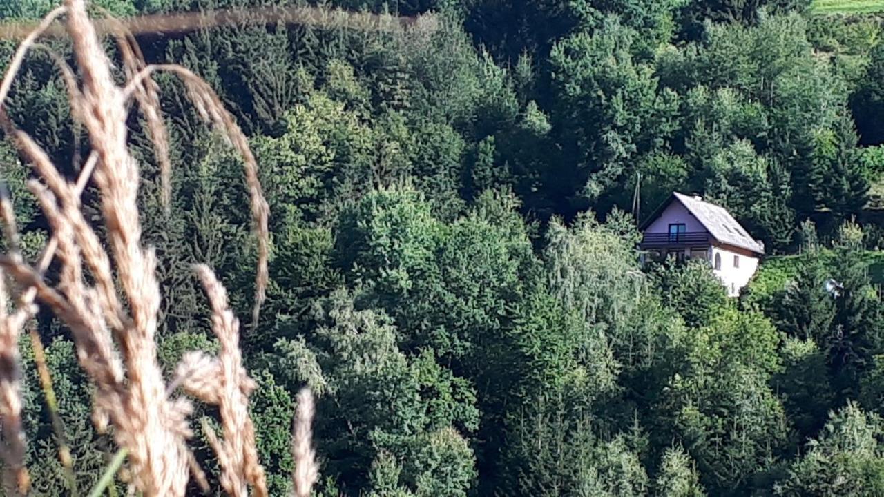 Country House & Spa Mislinja Zewnętrze zdjęcie
